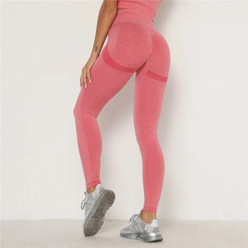 Sculpting Seamless Leggings